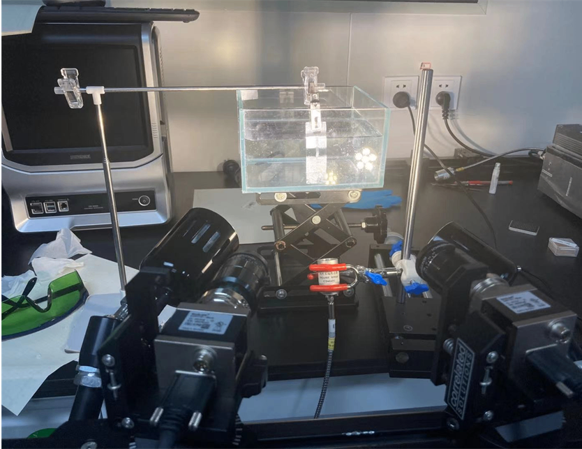 图1 现场测试图.png